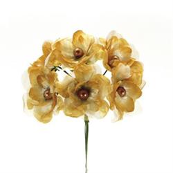 Mazzetto x 6 Magnolia Ecru Ø 6 cm