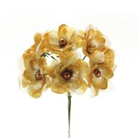 Mazzetto x 6 Magnolia Ecru Ø 6 cm