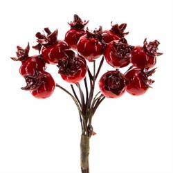 Mazzetto x 12 Melograno Rosso h 11 cm Ø 2 cm