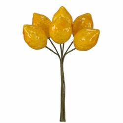 Mazzetto x 12 Limoni Ø 1.5 cm