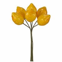 Mazzetto x 12 Limoni Ø 1.5 cm