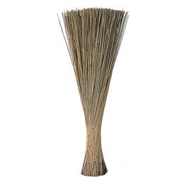 Cana Erizio Naturale h 77 cm Cf 1 Kg