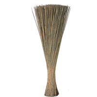Cana Erizio Naturale h 77 cm Cf 1 Kg