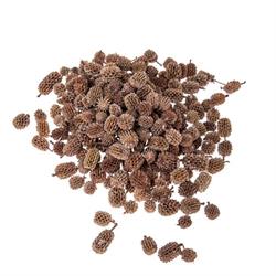Casurina Naturale Ø 1/2 cm Cf 1 Kg