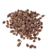 Casurina Naturale Ø 1/2 cm Cf 1 Kg