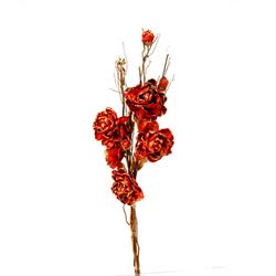 Salix C/Fiore Glitter