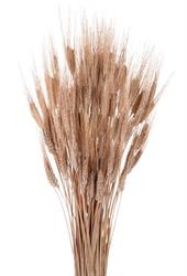 Grano Baffo