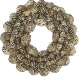 Coroncina Conchiglie Naturale Ø 15 cm Cf 3 Pz