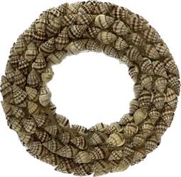 Coroncina Conchiglie Naturale Kaka Ø 15 cm Cf 3 Pz