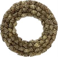 Coroncina Conchiglie Naturale Kaka Ø 15 cm Cf 3 Pz