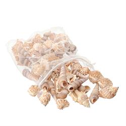 Conchiglia Assortita Naturale h 6 cm Cf 500 Gr