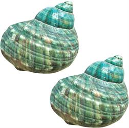 Conchiglie Turbo Verde Cf 300 Gr