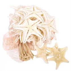 Stella Marina Naturale Ø 3/5 cm Cf 20 Pz