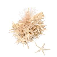 Stella Marina Piccola Naturale Ø 7/9 cm Cf 50 Pz