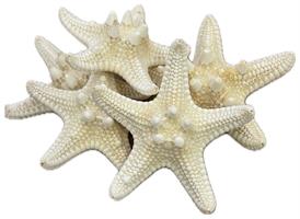 Stella Marina Bianco Ø 5/7 cm CF 10 Pz
