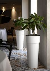 Vaso Plastica Duo Con Container