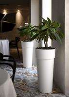 Vaso Plastica Duo Con Container