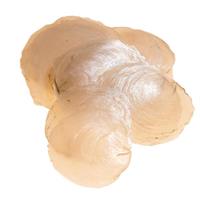 Conchiglia Capiz Naturale Ø 8/10 cm Cf 1 Kg