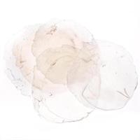 Conchiglia Capiz Naturale Ø 10 cm Cf 500 Gr