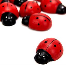 Coccinella Rosso h 1.9 cm Cf 50 Pz