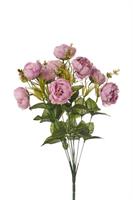 Bush Peonia x 10 Lavanda h 45 cm