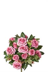 Bush Rose/Boccioli x 13