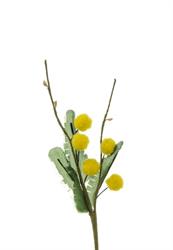 Pick Mimosa Incartato Giallo h 15 cm