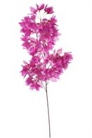 Ramo Foglie Fucsia h 90 cm
