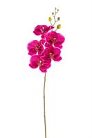 Ramo Phalenopsis Lusso Orchidea h 78 cm