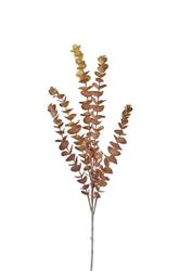 Bush Eucalipto Beige h 80 cm