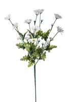 Ramo Margherita Bianco h 66 cm 4R