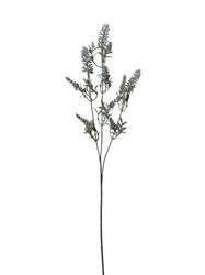 Ramo Lavanda x 3 h 66 cm