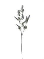 Ramo Lavanda x 3 h 66 cm