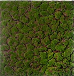 Tappeto Muschio Verde h 100 cm l 100 cm