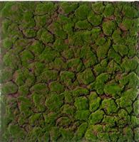 Tappeto Muschio Verde h 100 cm l 100 cm