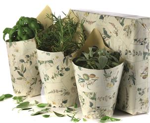 Bobina PP FP2L+ST1L 40MY Botanical F/Crema h 1 mt l 25 mt