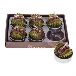 Candela T-light Castagne h 4 cm Cf 6 Pz