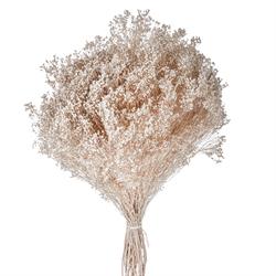 Broom Bloom Naturale