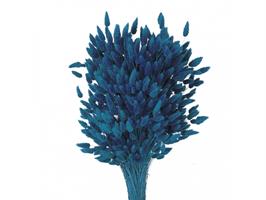 Lagurus Naturale