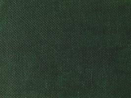 Bobina Tnt F/Pieno Verde Bosco h 80 cm l 20 mt