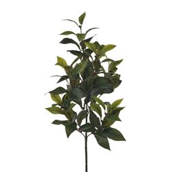 Ramo Alloro Verde h 73 cm