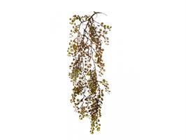Dischidia Cadente Marrone h 95 cm Ø 20 cm