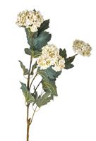 Ramo Viburno Bianco h 78 cm