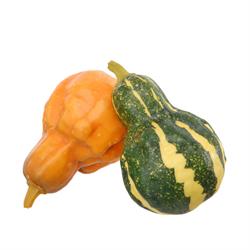 Zucca A Pera h 15 cm