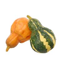 Zucca A Pera h 15 cm
