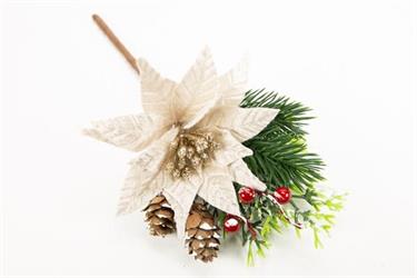 Pick Stella Natale C/Pino