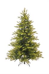 Abete Scozzese Verde h 210 cm 1372T