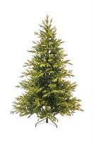 Abete Scozzese Verde h 210 cm 1372T