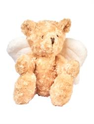Orso Teddy Angelo