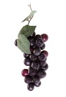 Uva Uso Ornamentale Bordeaux h 19 cm x 42